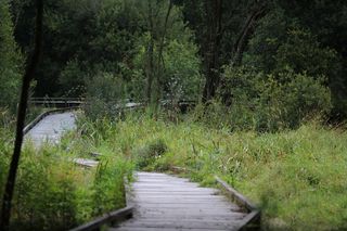 Le platelage, site de Saint Rachoux